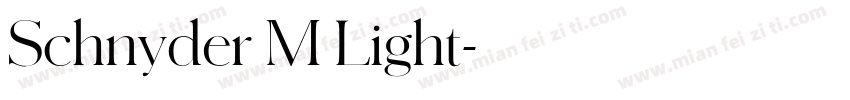 Schnyder M Light字体转换